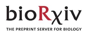 bioRxiv